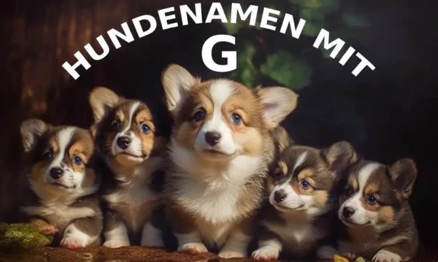 140 Großartige deutsche Hundenamen mit G