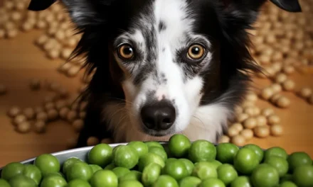 Dürfen hunde erbsen essen