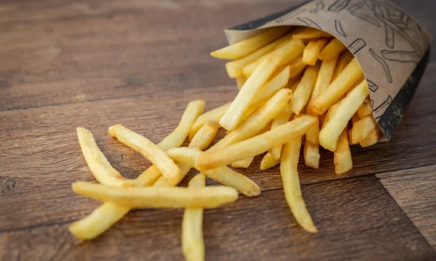 Dürfen hunde pommes essen – Die potenzielle Gefahr, Ihrem Hund das Essen davon zu erlauben